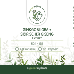 Ginkgo Biloba